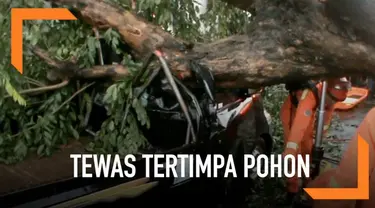 Seorang pengendara mobil tewas setelah tertimpa pohon di kawasan Duren Sawit, Jakarta Timur.