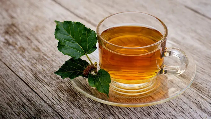 air rebusan daun murbei mulberry