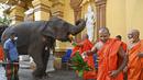 Seorang biksu menawarkan pisang kepada seekor gajah di Kuil Gangaramaya pada hari pertama prosesi Buddhis Navam tahunan terbesar selama dua hari di kota itu, yang juga dikenal sebagai festival Perahera, di Kolombo, Sri Lanka (15/2/2022). (AFP/Ishara S. Kodikara)