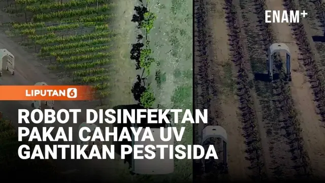 Robot Disinfektan Cahaya UV Gantikan Pestisida Merawat Tanaman
