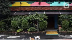 Kucing terihat di halaman Sekolah Menengah Pertama (SMP) Negeri 85 yang ditutup di Pondok Labu, Cilandak, Jakarta, Rabu (27/7/2022). Sekolah tersebut ditutup selama 10 hari setelah tiga siswa terkonfirmasi COVID-19. (Liputan6.com/Johan Tallo)