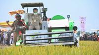 Menteri Pertanian (Mentan) Syahrul Yasin Limpo melakukan panen raya dan tanam padi di Desa Tempuran Kecamatan Trimurjo, Kabupaten lampung Tengah. Dok Kementan