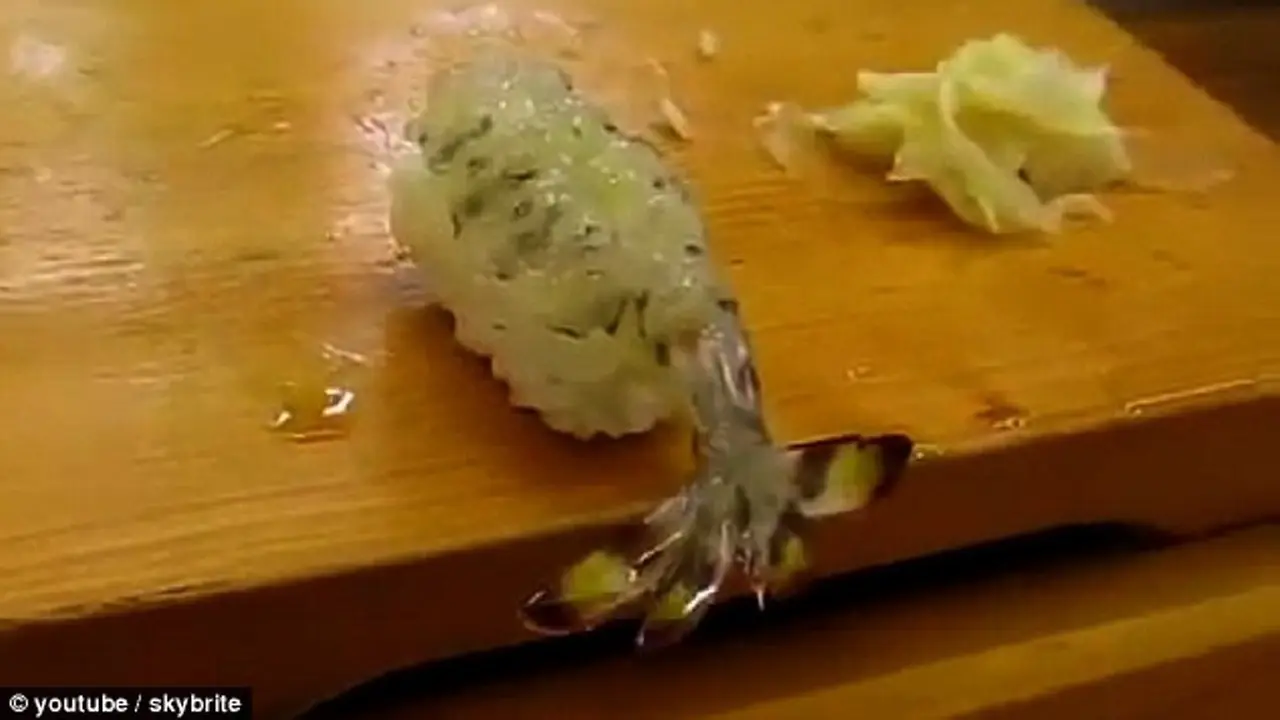 Udang pada sushi yang tiba-tiba menggerakkan bagian ekornya. (Daily Mail)