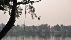 Seorang bocah lelaki melompat ke sungai Penrith saat gelombang panas di Sydney, Kamis (19/12/2019). Pekan ini Australia mengalami rekor hari terpanasnya yang tercatat dalam sejarah dan gelombang panas diperkirakan akan terus meningkat. (Farooq KHAN/AFP)