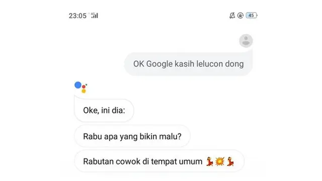 Tebakan Asisten Google (Sumber: Twitter/@niekensinlar