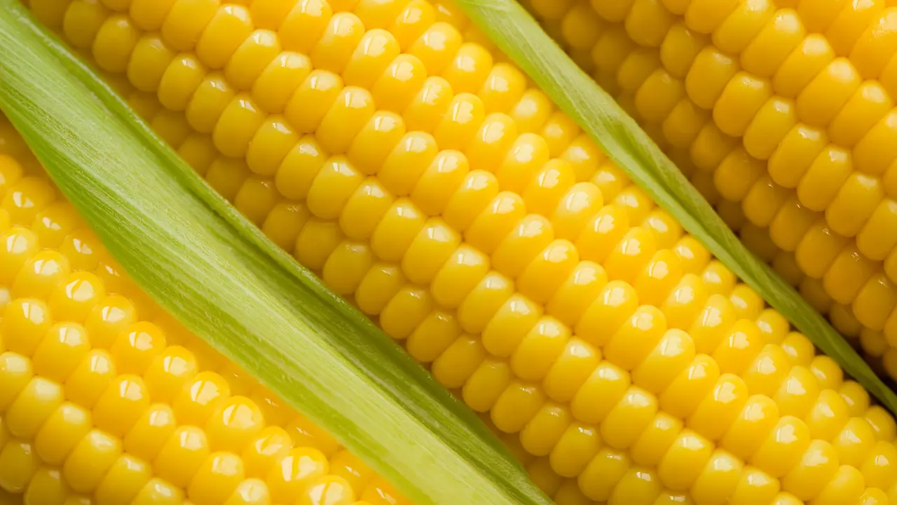 Jagung Bisa Buat Kulit dan Rambut Sehat