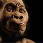 Sekelompok ilmuwan mengklaim telah berhasil mengidentifikasi jenis spesies baru dalam sejarah nenek moyang manusia.