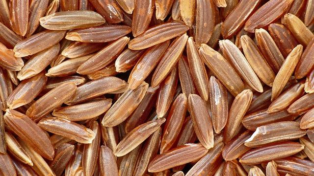 Ilustrasi beras cokelat