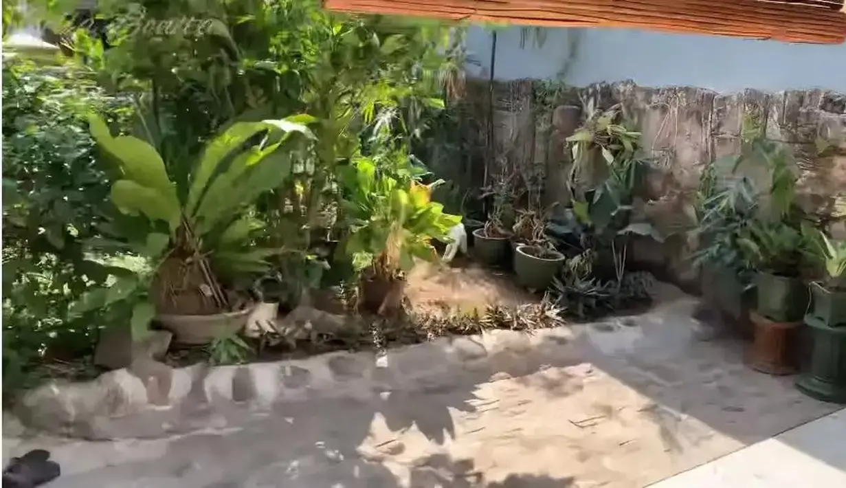 Di area depan terdapat taman kecil yang jadi pemanis rumah. Ia juga memberi kesan adem dan asri. [YouTube Bella Bonita]