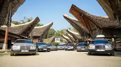 Kisah W124 MBCI Menaklukkan Lintas Sulawesi