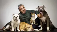 Cesar Milan selalu mempunyai cara bagaimana memperlakukan dan mendidik anjing agar menjadi hewan sekaligus teman bagi manusia