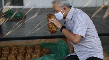 Gubernur Jateng Ganjar Pranowo mengecek kondisi tembakau hasil panen pertanian di gudang rokok Temanggung, Selasa (25/8/2020). (Foto : Liputan6.com/Felek Wahyu)