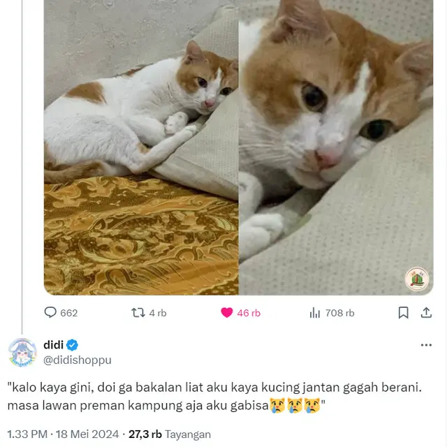 6 Kreativitas Netizen Bikin Dialog dari Foto Kucing Melamun Ini Kocak