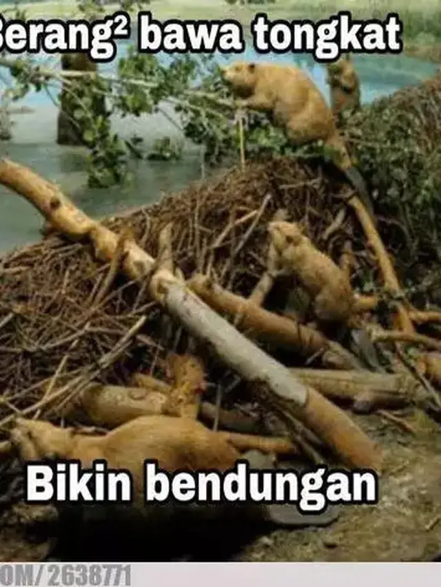 6 Meme Pantun Tidak Nyambung Bikin Dahi Berkerut