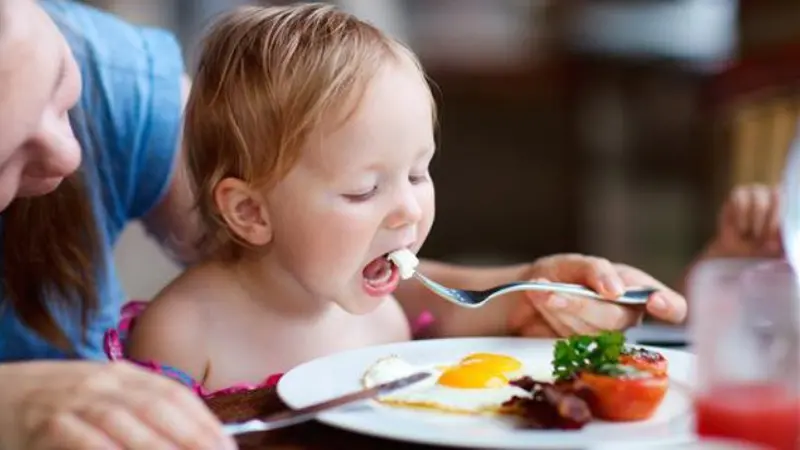 Anak gemar makan telur. 