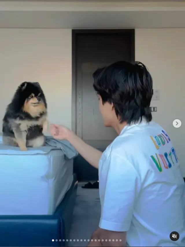 6 Potret Kenangan V BTS dan Yeontan Anjingnya yang Meninggal, ARMY Ikut Sedih