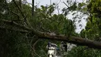 Seorang pengendara motor mengemudikan motornya untuk melewati pohon tumbang yang menghalangi jalan setelah Topan Kajiki melanda Provinsi Nghe An, Vietnam pada 26 Agustus 2025. (Nhac NGUYEN/AFP)