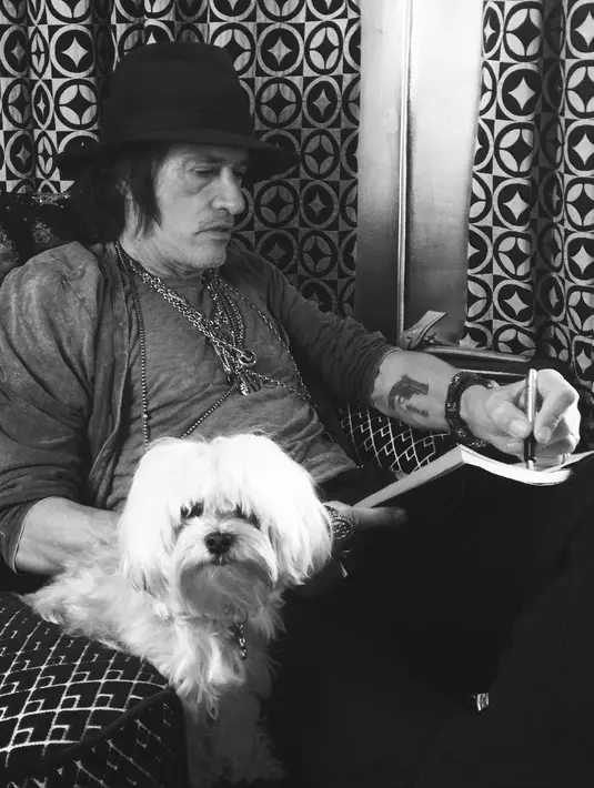 Joe Perry tumbang saat maggung di Hollywood Vampires pada Juli 2016. Ia pun pingsan saat lagu pembuka. (instagram/joeperryofficial)