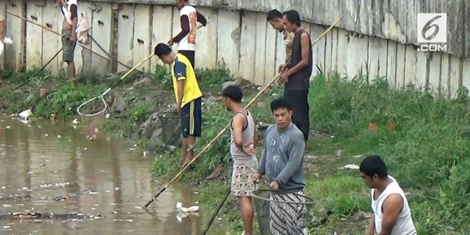 VIDEO: Teka-teki Ribuan Ikan Mati di Sungai Cisadane
