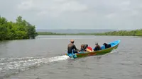 Perahu jukung meluncur di Laguna Segara Anakan, Cilacap, Jawa Tengah. (Foto: Liputan6.com/Muhamad Ridlo)