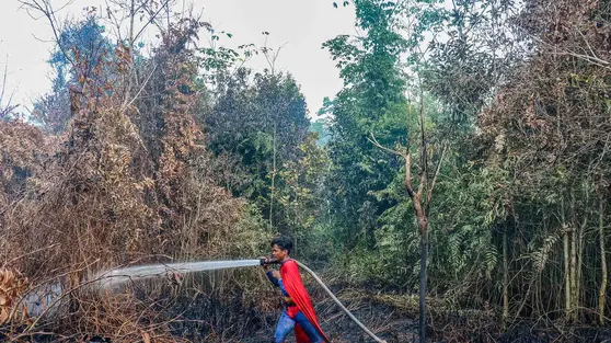 Aksi Superman Padamkan Kebakaran Lahan Gambut