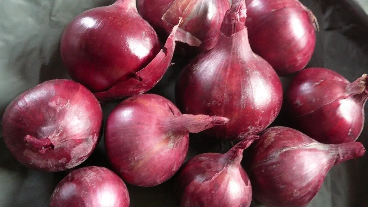 Manfaatkan Bawang Merah, Begini Modus Baru Penyelundupan Narkoba