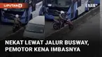 Seorang pemotor nekat melintasi jalur busway kena imbasnya mengundang perhatian