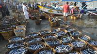 Ikan hasil tangkapan nelayan dimasukkan ke dalam keranjang bambu di Tempat Pelelangan Ikan (TPI) Palangpang, Ciletuh, Sukabumi, Jawa Barat, (23/9). Pembeli dapat langsung membeli ikan di pinggir pantai dengan harga yang murah. (Merdeka.com/Arie Basuki)