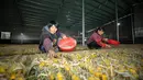 Peternak memasukkan ulat sutra ke dalam kandang kepompong di Desa Xidong, Kaihua, Provinsi Zhejiang, China, 21 Oktober 2020. Pada akhir 2020, produksi sutra di desa ini diperkirakan mencapai 22.500 kilogram, yang dapat meningkatkan pendapatan peternak hampir 1 juta yuan (1 yuan = Rp2.199). (Xinhua)