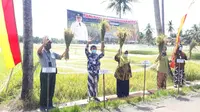 Panen Padi Masa Tanam Ketiga di Gunungkidul Kini Lebih Optimal
