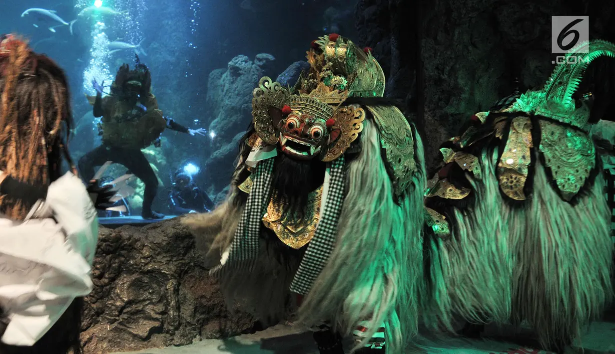 Pertunjukan kesenian khas Bali bertajuk "Barongan, An Epic Underwater Show" di akuarium utama Sea World Ancol, Jakarta, Senin (4/3). Pertunjukan itu dalam rangka memperingati Tahun Baru Saka atau dikenal dengan Hari Raya Nyepi. (merdeka.com/Iqbal Nugroho)