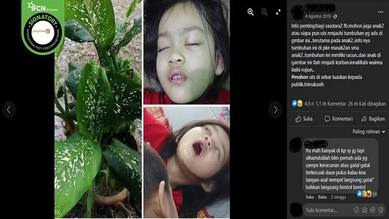 Gambar Tangkapan Layar Klaim Tanaman Sri Rejeki Bisa Membuat Kematian pada Anak (sumber: Facebook).