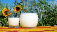 Ilustrasi susu nabati (dok Pixabay.com/Couleur)