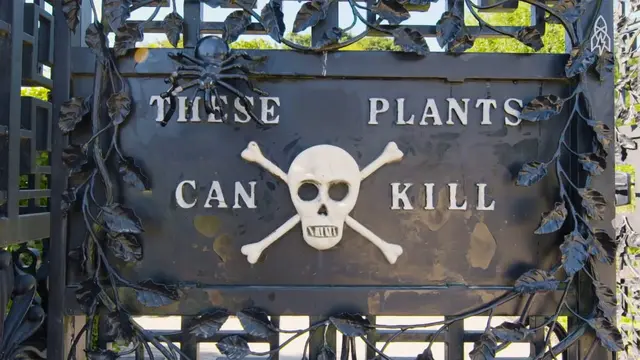 Enter the Deadliest Garden in the World