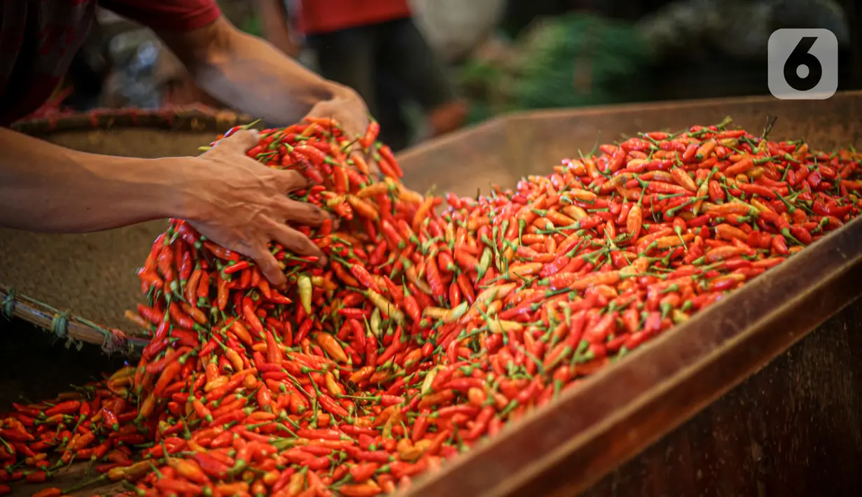 Pedagang merapikan cabai rawit merah di Pasar Induk Kramat Jati, Jakarta, Senin (20/6/2021). Harga cabai rawit merah di pasar-pasar DKI Jakarta naik menjadi rata-rata Rp108.043 per kilogram (kg). Bahkan, di beberapa pasar harga cabai tembus Rp120 ribu per kg. (Liputan6.com/Faizal Fanani)