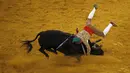 Seorang matador sedang berjuang menaklukan seekor banteng yang mengamuk di arena Campo Pequeno, Lisbon , Portugal, Kamis (9/7/2015). Aksi ini sangat berbahaya, banteng dapat melukai dan membunuh peserta. (REUTERS/Rafael Marchante)