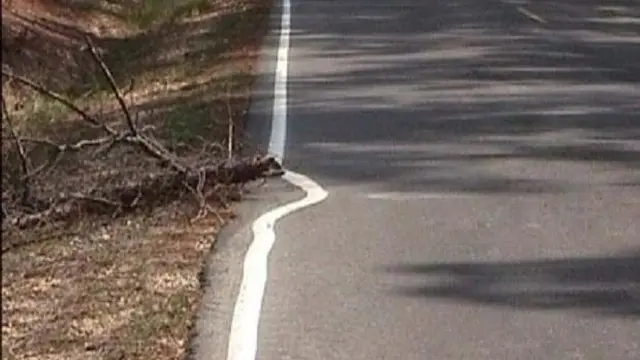 6 Garis Tak Lurus di Jalan Ini Bikin Kesal, Perfeksionis Geregetan