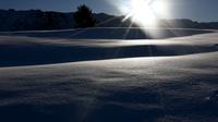Salju terhampar di resor Les Saisies di Pegunungan Alpen Prancis pada 4 Februari 2025 di Pegunungan Alpen. (dok. Alex MARTIN / AFP)