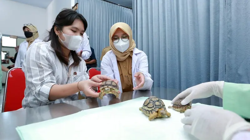 Rumah Sakit hewa di Banyuwangi mulai beroperasi. (Dian Kurniawan/Liputan6.com)