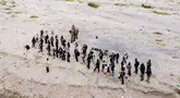 Relawan peduli lingkungan menanam pohon di Daerah Aliran Sungai (DAS) Peusangan, Negeri Antara, Bener Meriah, Aceh, Sabtu (18/7/2026). (AFP/ Chaideer Mahyuddin)