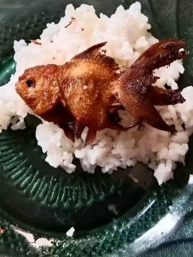 6 Menu Makan Nyeleneh yang Tidak Habis Pikir, Kocak