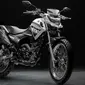 Yamaha Crosser 150S. (Yamaha)