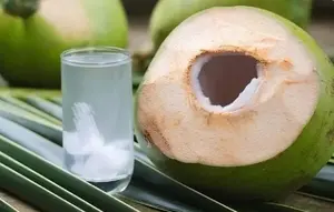 Hari Kelapa Sedunia (World Coconut Day): Manfaat Kelapa & Potensi Ekspor Kelapa RI