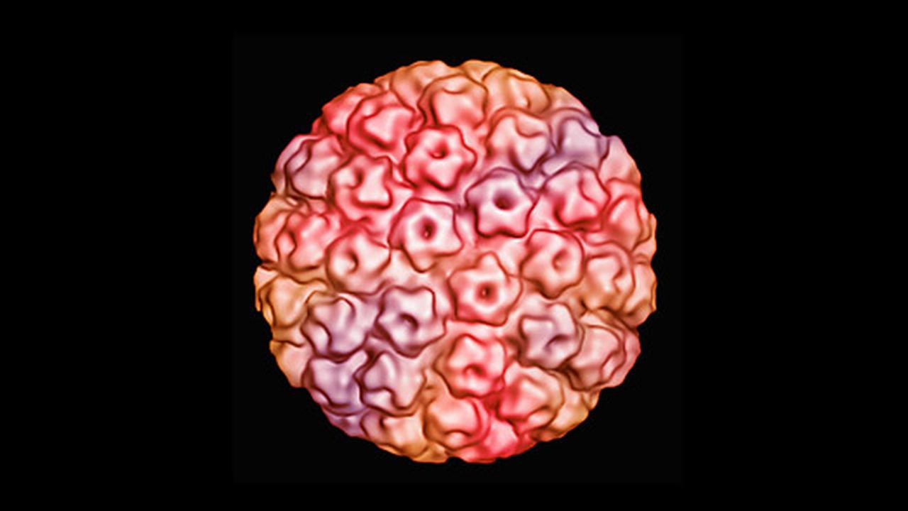 Kenali, 2 Jenis Vaksin Pencegah Kanker Serviks