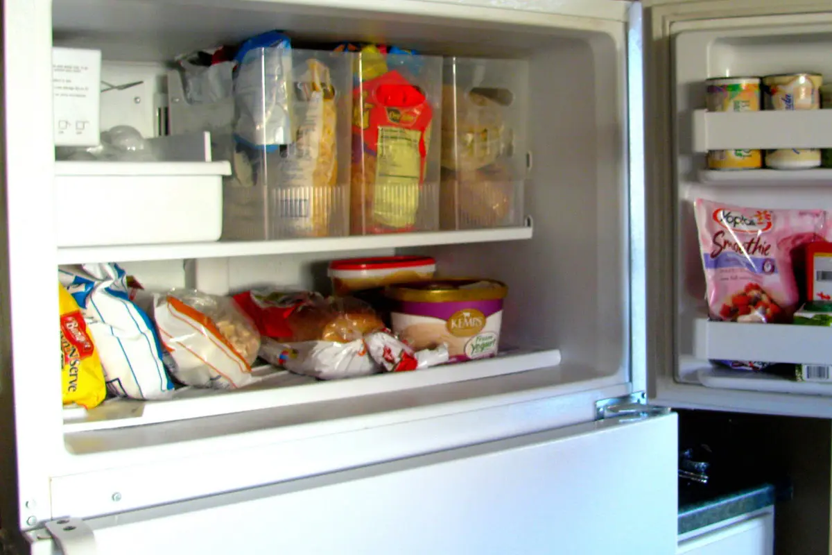 3 Bahan Makanan yang Haram Disimpan di Freezer