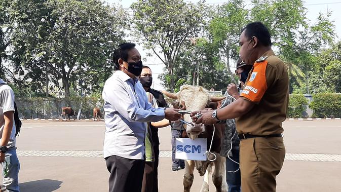 Direktur SCM Imam Sudjarwo menyerahkan seekor sapi kepada Camat Kebon Jeruk Saumun. (Istimewa)