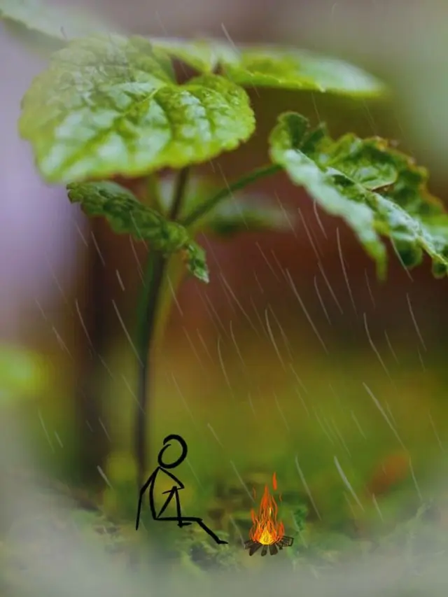Pria Ini Buat Foto Lebih Hidup dengan Doodle Art, 7 Hasilnya Curi Perhatian