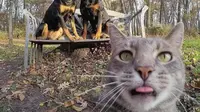 6 Gaya Selfie Kucing Bareng Anjing Ini Kece Badai, Bikin Gemas (Sumber: Instagram/yoremahm)