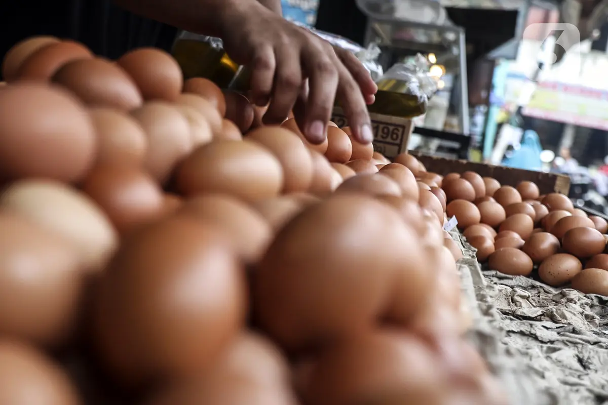 FOTO: Harga Telur Ayam Hampir Sentuh Rp 30 Ribu per Kg