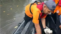 Nasib Nelayan Muna Terjatuh di Sarang Buaya